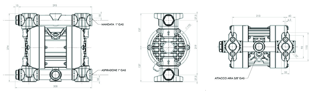 Ingombri pompe membrana plastica - Overall dimensions AODD plastic pumps BX81